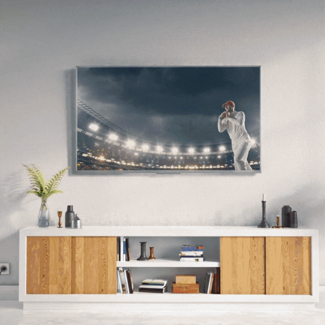 Cricket GIF Cricket GIF